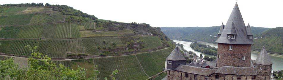 Bacharach am Rhein mit Blick auf die Weinberge