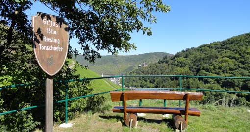 Bilder aus Bacharach und Umgebung 1