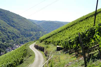 Bilder aus Bacharach und Umgebung 2