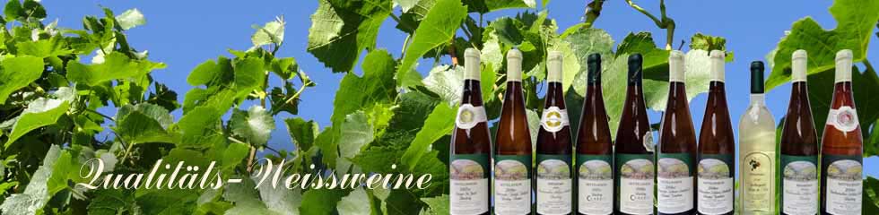 Qualitts-Weissweine - Weingut Brck - Bacharach