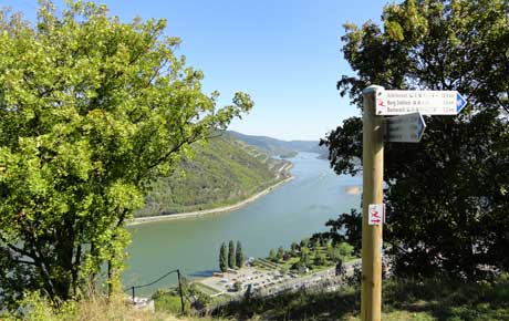 Am RheinBurgenWeg bei Bacharach