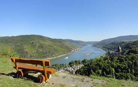 Am RheinBurgenWeg bei Bacharach