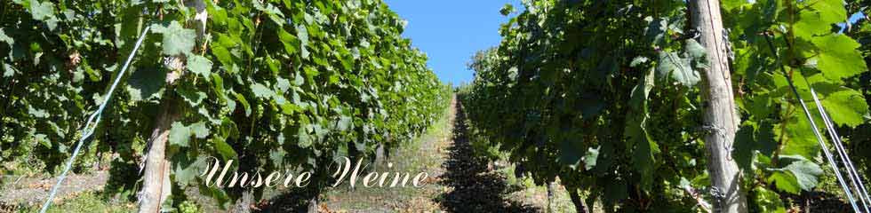 Weingut Brck - Bacharach